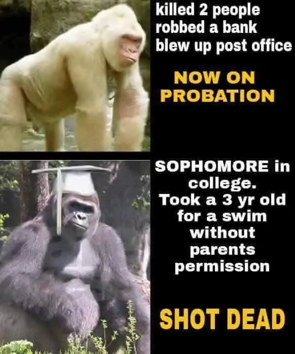 Comparison meme contrasting Brock Turner receiving probation with Harambe being shot dead