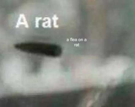 25157909_10213166218141963_763702513746986891_n.jpg