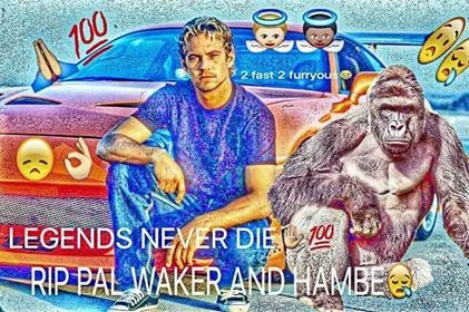 Tribute meme showing Harambe with Paul Walker and the text "Legends never die"