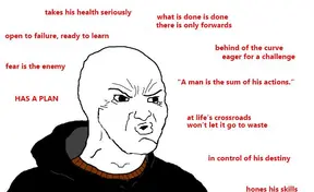 The New Year's Memes