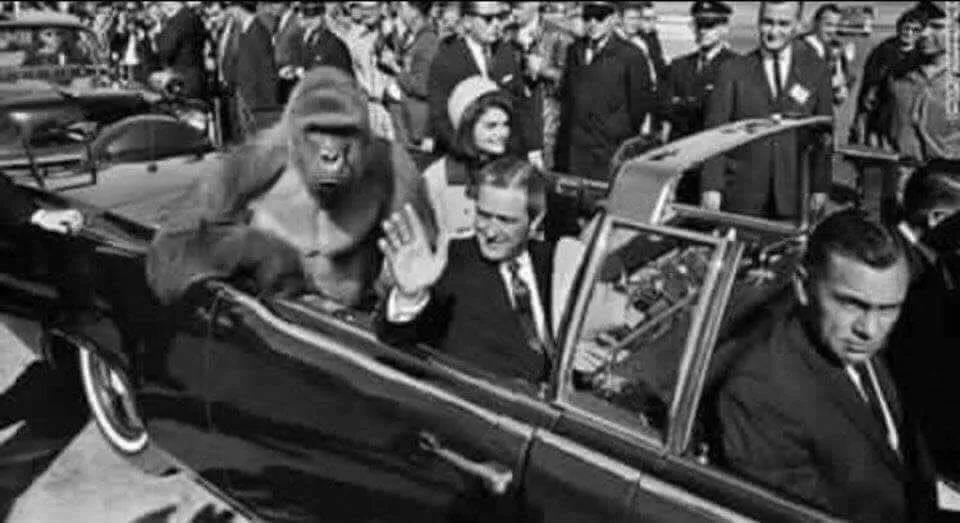 Black-and-white edit placing Harambe in a presidential motorcade