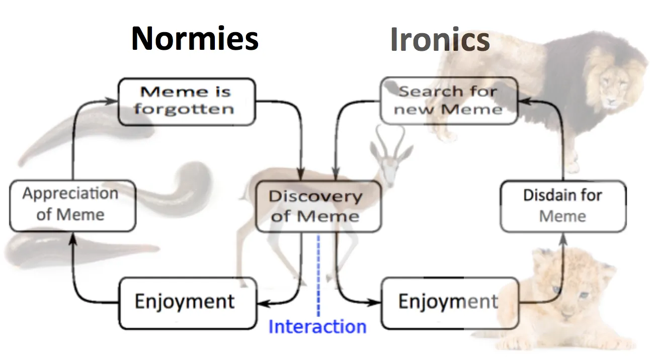 Lifecycle of the meme