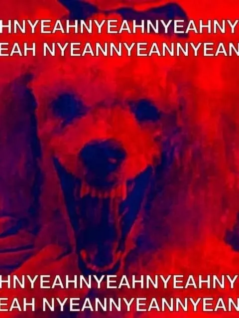 Image from Pains of Hell Wellness Clinic parodying the traditional top-text-bottom-text image macro format