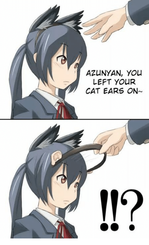 More CatGirl Memes!! 